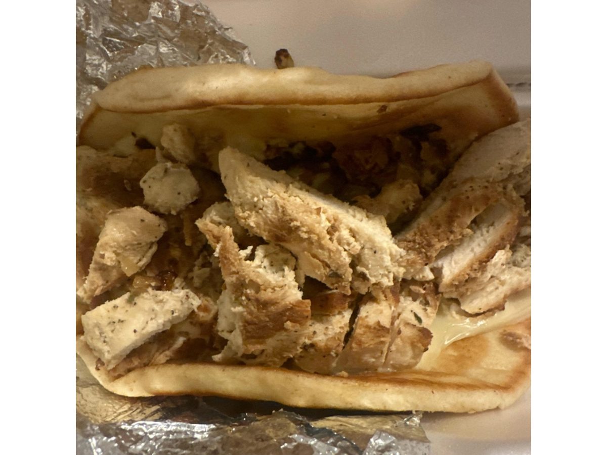 Ted’s original Grilled Chicken Pita